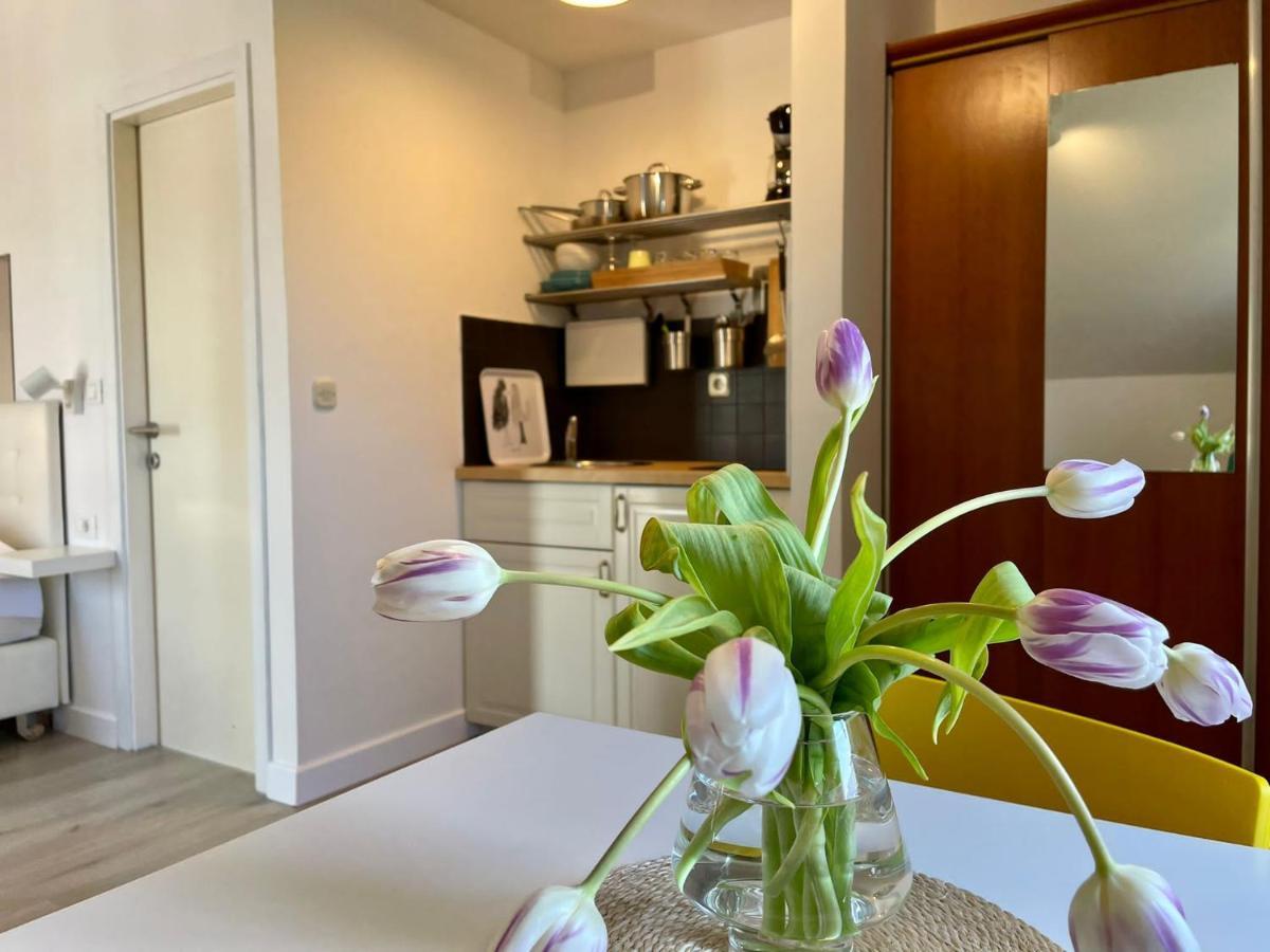 Apartments Carol Cavtat Dış mekan fotoğraf